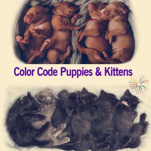 Image of Stretchy Whelping Collars for Large Kittens and Medium Puppies, 15 Colors 60Pcs Assorted Adjustable Identification Loops for Newborn Animal Litters, Multi Colored ID Bands (6 Inch)
