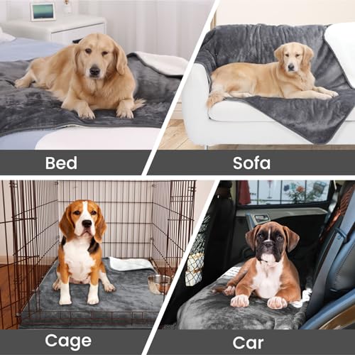 PETTOM Fleece Hundedecke wasserdichte Haustierdecken, weicher Plüschüberwurf für Katzen Welpen Schützt Couch, Stühle, Auto oder Bett vor Verschütten, Flecken - Maschine waschbar, 152 x 127 cm,Grau