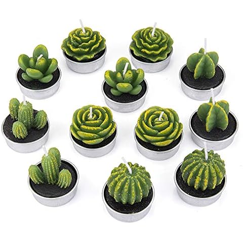 ZEWOO Velas en Forma de Planta Cover