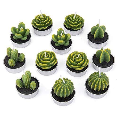 ZEWOO 12 Piezas Velas en Forma de Planta, Hechas a Mano Delicadas Plantas Decorativas Cactus Tealight Sin Humo para Día de San Valentín, Cumpleaños Fiesta de Boda Decoración