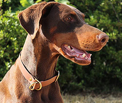 Biothane Halsband Zugstopp begrenzt