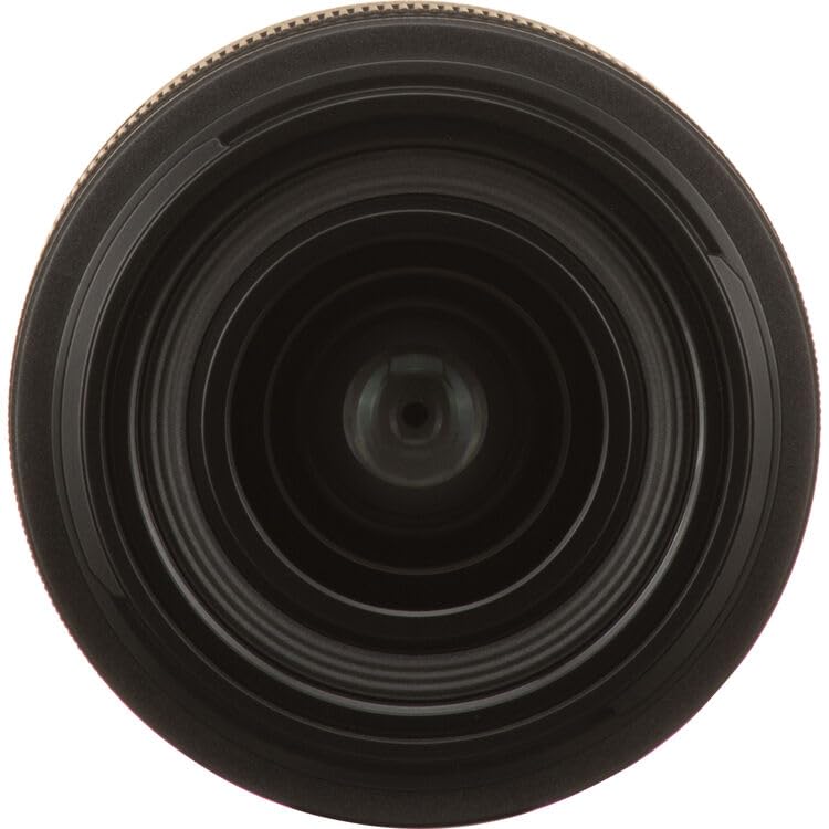 Amazon.com: Canon RF 24mm f/1.8 Macro is STM Lens (5668C002