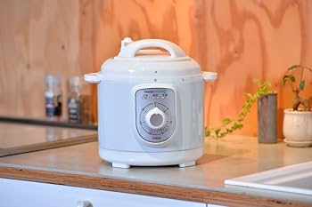 Amazon | 山本電気 電気圧力鍋 2.8L (満水容量2.8L/調理容量2.2L