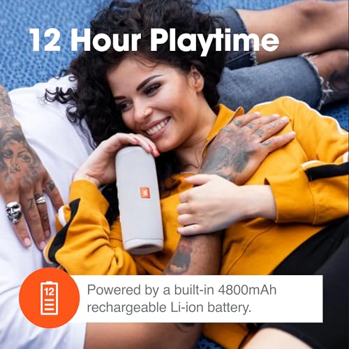 Image of JBL Flip 5 (Gray) + Bundle with divvi! Protective Hardshell Case