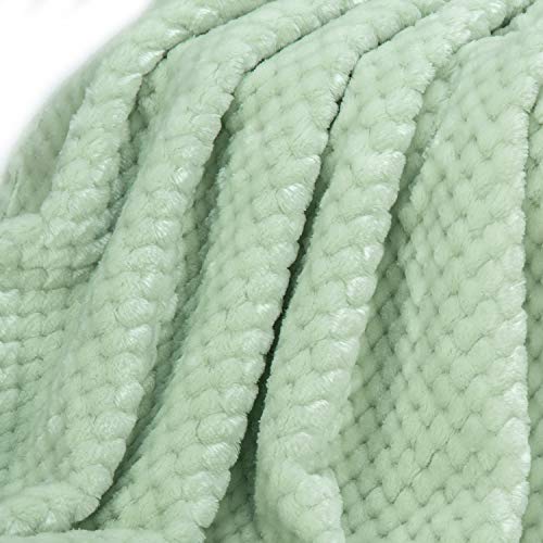 Image of Warm Soft Fuzzy Dog or Cat Blanket, Plush Fleece Throws for Puppy, Kitten, Medium, Large Dogs - Mint (S /24 inch x 32 inch)