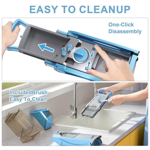 View 5