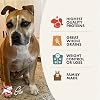Fromm Weight Management Gold Premium Dry Dog Food - Weight Management Dog Food for Medium & Small Breeds - Turkey Recipe - 5 lb