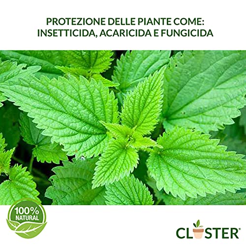 CLOSTER Macerato Di Ortica - Fertilizzante per Fertirrigazione - Antiparassitario Insetticida Naturale - Potenzia Le Difese Contro Insetti Parassiti Funghi Su Piante Orto Giardino Fiori Frutta (1 LT) - 2