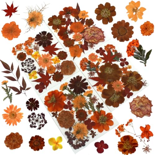 80Pcs Pressed Flowers Fall Dried Flowers Natural Red Pressed Flowers Bulk for Resin Molds Nail Art Scrapbooking Candle Holder Jewelry Making Real Dried Pressed Flowers DIY Crafts Kit