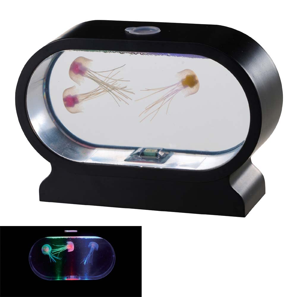 Amazon.co.jp: イシグロ アクアリウムミニクラゲ ブラック W200×H137