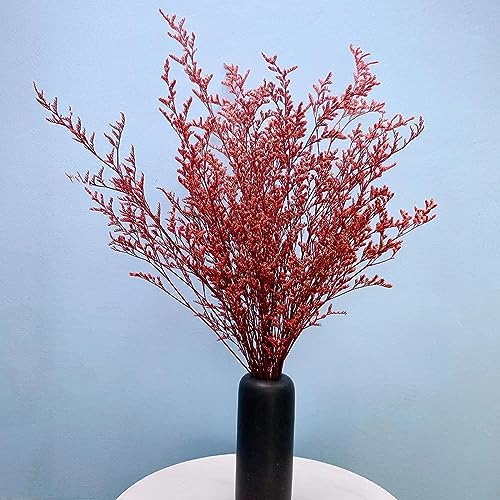 Valentine-Grass-Dried-Palm-Leaves-Limonium-Pink-Dried-Pampas-Grass-Pampas-Grass-Decor-Palm-Leaves-Party-Decorations-for-Wedding-Home