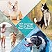 Flea and Tick Prevention for Dogs, 4 Pack Flea Collar for Dogs, Dog Flea and Tick Treatment, 32 Months Protection, Waterproof, Adjustable Collar for Dog, One Size Fits All for All Breeds, Grey