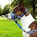 yeeplant Breathable Blue Dog Muzzle, Large, Anti-Bite, XL