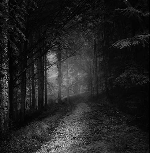 Episode 1: The Last Call Killer