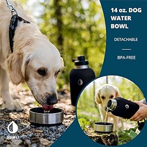 Dog Water Bottle, Insulated Dog Travel Water Bottle, Stainless Steel Pet Water Bottle Dispenser Portable Food and Water Bowl for Dogs with Carrying Case for Walking Dog Canteen Travel Kit Dog Water Bottle, Insulated Dog Travel Water Bottle, Stainless Steel Pet Water Bottle Dispenser Portable Food and Water Bowl for Dogs with Carrying Case for Walking Dog Canteen Travel Kit