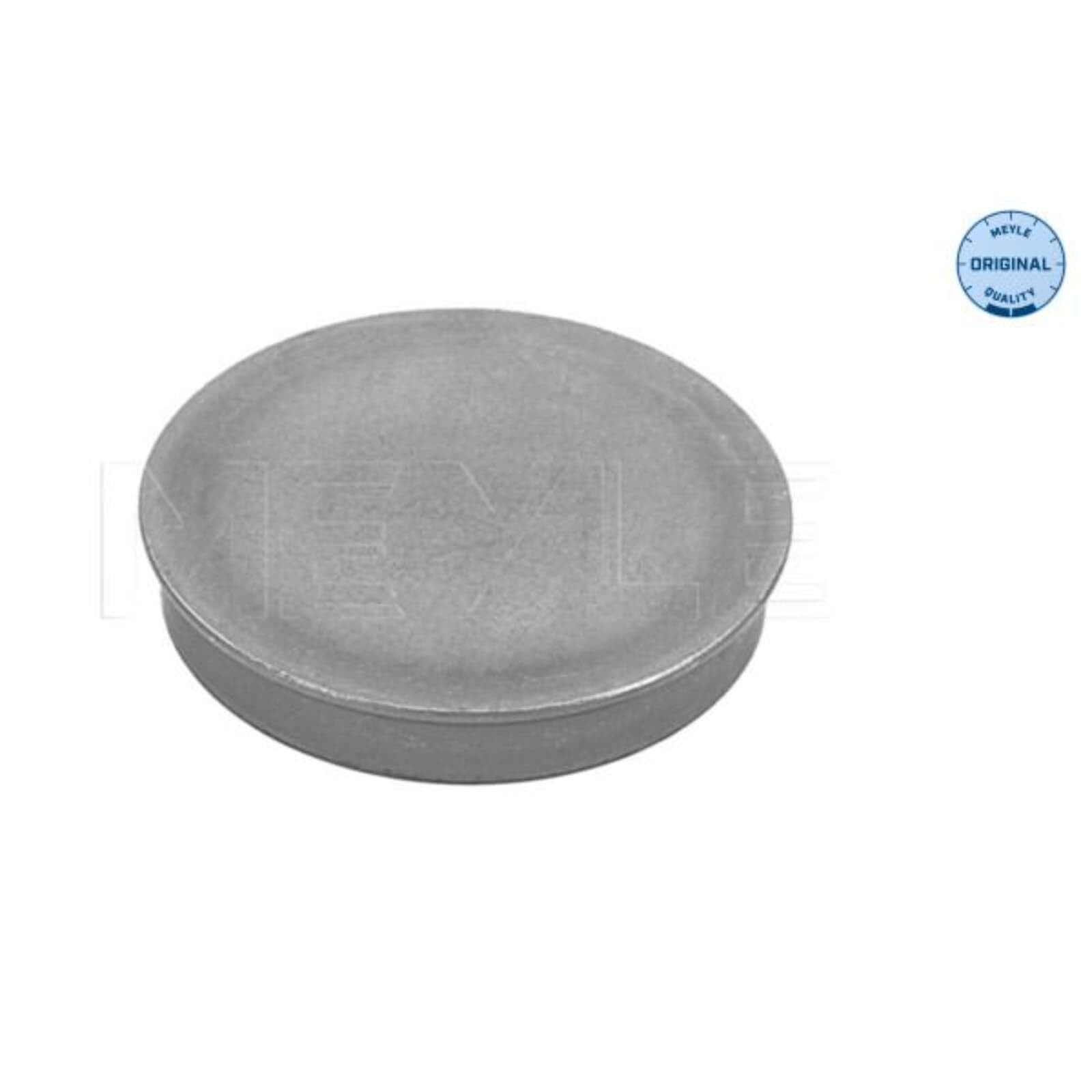 MEYLE 100 598 0181 Radlagersatz pro Rad Hinten Außen: 120mm Kugellager mit Anbau-/Befestigungsmaterial mit ABS-Sensorring mit integriertem Radlager Kompatibel mit VW Golf IV Schrägheck 1J1 1J0598477 | 100 598 0181 für Golf 4 A3 8L TT Leon 1M Octavia I