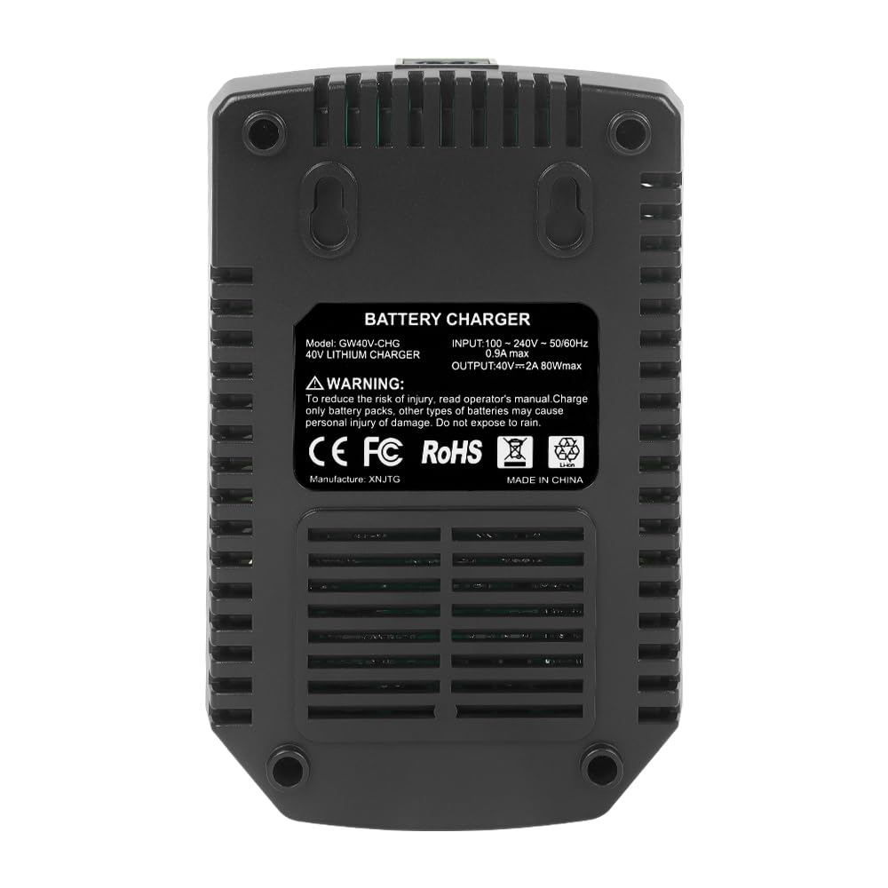 Chargeur de batterie de rechange 40 V 2 A compatible avec Greenworks 40 V Batterie lithium-ion 29482 29962 29472 290139 299302 BAF702 L-300 BAF704 BAF705 G-MAX Power Tools 29252 20202 2222 62 kg
