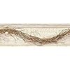 York Wallcoverings Country Keepsakes Grapevine Twig Border Removable Wallpaper Cream Brown Grey