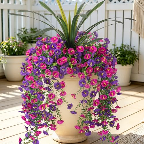 TakeArt Morning Glory Bundles