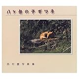 八ケ岳の子ギツネ 西村豊写真集 (フォトルピナス)