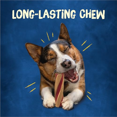 Purina Busy With Beggin' Twist'd Dog Chew Dog Treats