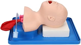 Intubation Manikin Study Teaching Model Airway Management Trainer (for Adult)