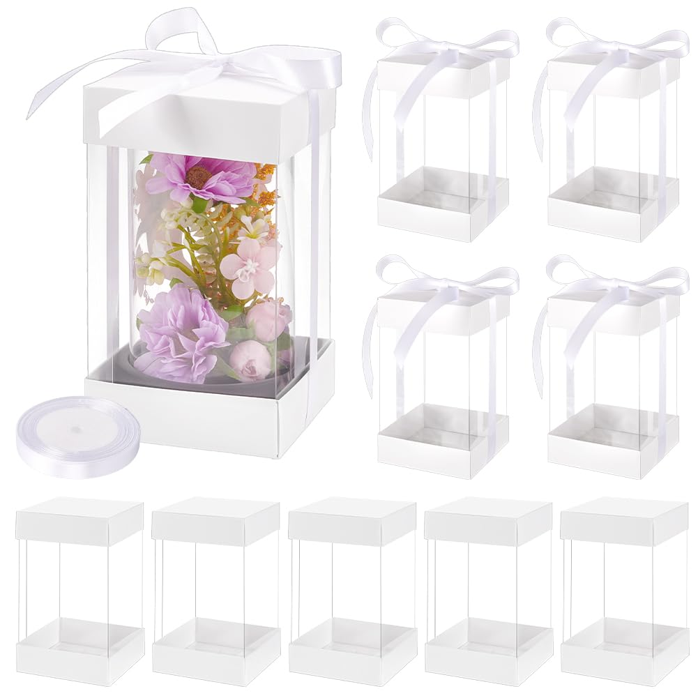 BENECREAT 10 Scatola Regalo Trasparente con Coperchio In Carta Bianca, Scatole Regalo Rettangolari con Nastro In Poliestere per Compleanni, Matrimoni e Natale, 8x8x14cm