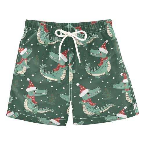 ALAZA Dinosaur Merry Christmas Snowflake Boys Quick Dry Beach Board Shorts Kids Swim Trunks Bathing Suit Swimsuit