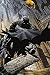 Batman - DC Comics Poster / Print (Stalker / Crouching On Gargoyle) (Size: 24" x 36") (By POSTER STOP ONLINE)