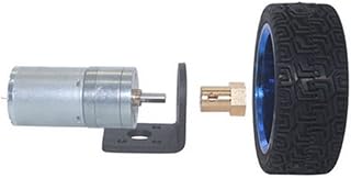 ELLANA Turbine Speed Reduction Worm Gear Motor, 25GA370, Electric 12v Dc Motor, Micromotor, DC Geared Motor, Toy car Set Worm controllable (Color : 6V, Size : 170rpm)