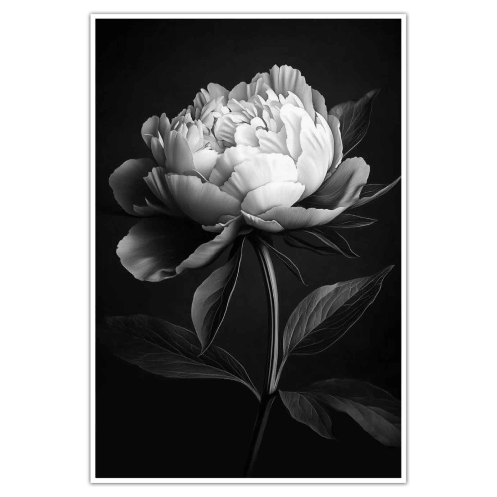 Amazon.com: ZSHARTSWD Peony Flower Wall Art Vintage Floral Canvas
