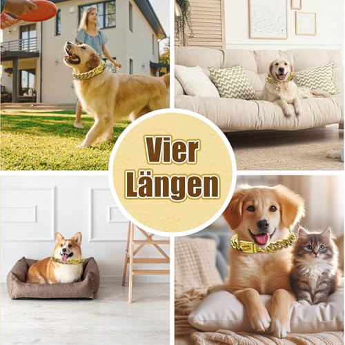 Kettenhalsband Hund, Goldenes Hundehalsband Kette Mit Metallkette, 15mm Breite Cuban Dog Collar, Rostfreier Stahl Halskette Hund mit Schnalle Für Kleine Mittlere Und Große Hunde (45cm)