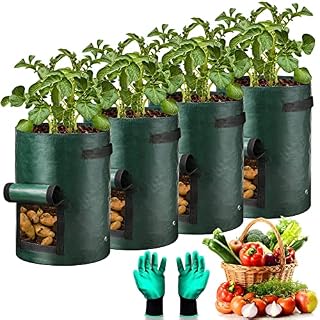 Potato Grow Bags, 4 Pack 10 Gallon Potato Growing Bags Waterproof PE, Vegetable Plant Growing Bags with Visualized Flap and Handles, Garden Plant Grow Bags for Tomato, Potato, Carrot (Green)