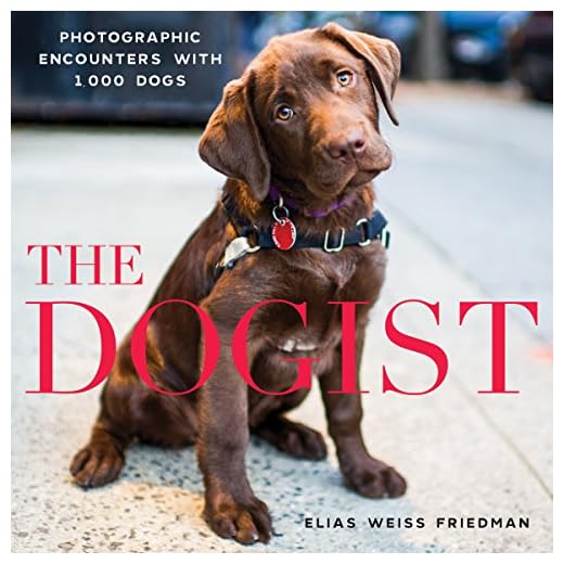 The Dogist: Photographic Encounters with 1,000 Dogs