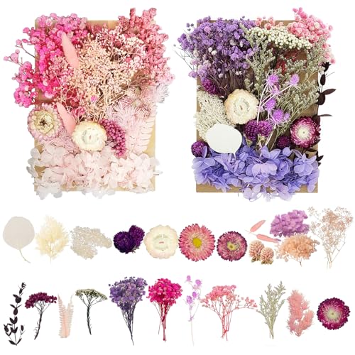 2 Boxen Trockenblumen, Trockenblumen Zum Basteln, Rosa Lila DIY Getrocknete Blumen, Echte Natürliche Trockenblumen, für Kunst DIY Harz Scrapbooking Handwerk Karten Machen tischdeko gesteck