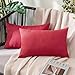 MIULEE 2 Pezzi all'Aperto Copricuscini Impermeabile Federe per Cuscino Decorativi Moderni in Poliestere Cuscini in Lino per Divano Sedie Picnic Camera da Letto 30x50 cm Rossa