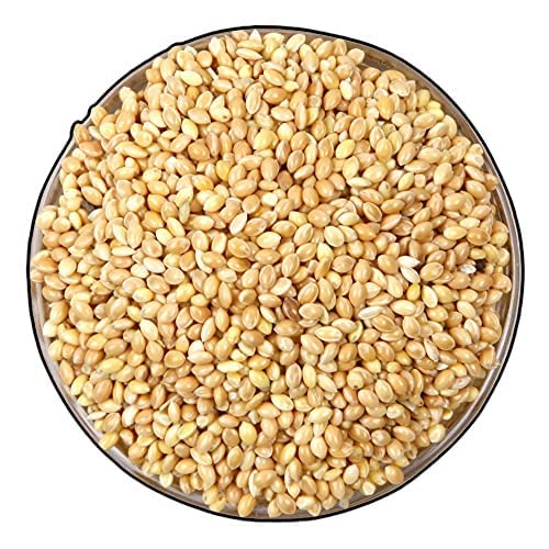 See full amazon price history chart for Veganic Foxtail Millet For Birds | Kangni Seed Bird Food | Food For Canaries, Finches, Waxbills, Budgies, Lovebirds, Cockatiels (400g) Veganic Foxtail Millet For Birds | Kangni Seed Bird Food | Food For Canaries, Finches, Waxbills, Budgies, Lovebirds, Cockatiels (400g) (B0B87TMV5Y) Amazon Price History, Amazon Price Tracker