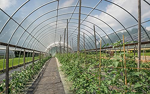 Grelwt Greenhouse Plastic Sheeting 8X25 Ft thumb #6