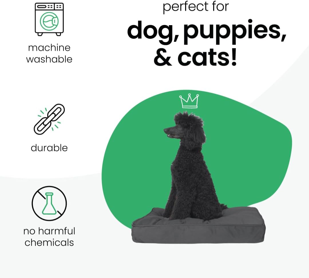 Molly Mutt Medium to Large Dog Bed Cover - I’m A Realist Print - Measures 27”X36”X5’’ - 100% Cotton - Durable - Breathable - Sustainable - Machine Washable Dog Bed Cover