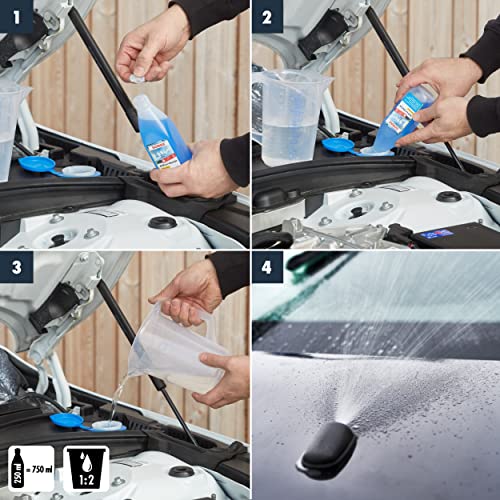 SONAX AntiFrost+KlarSicht Konzentrat (250 ml) ergibt bis zu 0,75 Liter Winter-Scheibenwaschwasser, sofort mischbereit, schlierenfrei, Antikalk-Effekt | Art-Nr. 03321000