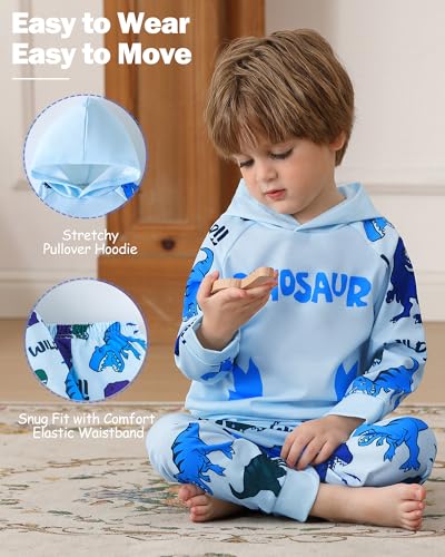 Jecson Toddler Boy Clothes Sets: Soft Baby Outfits Colorful Dinosaur Hoodie & Jogger Pants 2Pcs Cute Fall Daywear 18M-8 Years3