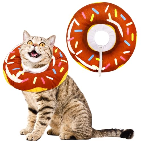 Cat Cones The 15 best products compared Wild Explained