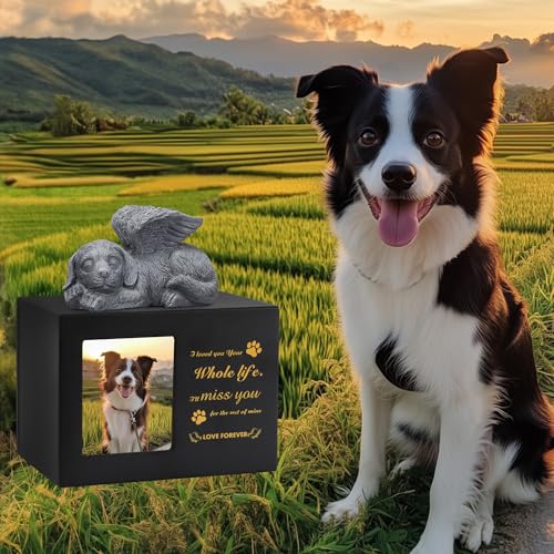 DiDiBirDi Tierurnen für Hunde,Haustier Einäscherung Box,Schwarze Hunde Urnen aus Holz für Asche, Wird mit Einer Hundestatue aus Kunstharz und einem Samtbeutel zur Aufbewahrung der Asche（25kg） ﻿