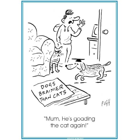 Peatree Heybridge Funny Blank Greeting Card - From The Pugh For The Daily Mail Range - Humorous Cartoon Sketch - Suitable For Birthdays And Other Occasions (Dogs VS Cats) Cover