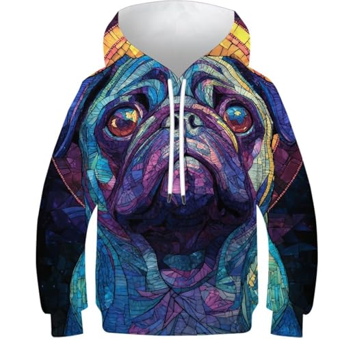 Sweat pour enfants à motif carlin vitrail idéal pour le collège