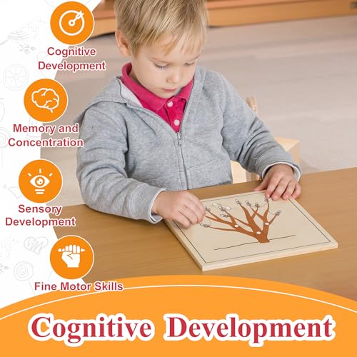 Image of MONTESSORI OUTLET Nature Materials Root Puzzle Early Preschool Learning Toys for 3-12 Year Old Kids and Toddler