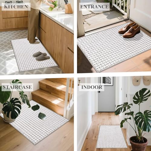 Homcomodar Dünn Fussmatte Innen 41x61cm Schmutzfangmatte Innen, Teppiche für den Eingangsbereich, Fußmatte Innen, rutschfest, Keine Faltspuren Fußmatte Haustür, Eingangsmatte, Grau