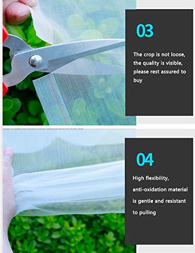 Red de protección para plantas de jardín, túnel de cultivo fino para verduras, flores y frutas, barrera blanca para pájaros para jardinería al aire libre, control de plagas y protección de plantas
