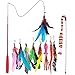 ZWOOS [10 en 1 ] Juguete de la Pluma del Gato, Juguete Pluma de Gato Interactivo 1 x Varita Retráctil, 1 x PC Rainbow Cat Wand y 8 x Plumas de Recambio con Campana para Ejercitar Gatos y Gatitos