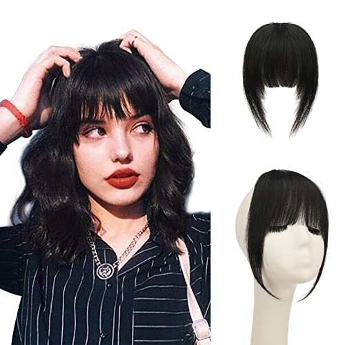 Clip in Bangs, PEACOCO 100% Human Hair Bangs Extensions French Bangs Neat Bangs with Temples Clip on Fringe Bangs Real Hair for Women Thick Bangs One Piece Hairpiece for Daily Wear (Natural Black)